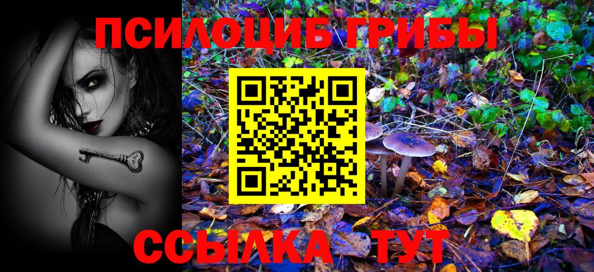 Галлюциногенные грибы Cubensis Котовск